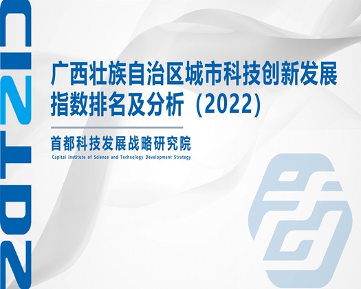 女人被艹的很爽的视频【成果发布】广西壮族自治区城市科技创新发展指数排名及分析（2022）